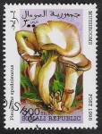 Stamps Africa - Somalia -  SETAS:229.003 Pleurotus spodeleucus