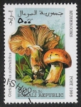 Stamps Somalia -  SETAS:229.005 Cortinarius subvalidus