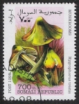 Stamps Africa - Somalia -  SETAS:229.006 Hygrophorus tristis
