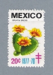 Stamps Mexico -  Opuntia Species