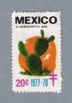 Stamps Mexico -  O. Microdasys Fa. Alba