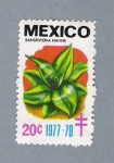 Stamps Mexico -  Sanseivieria Hahni