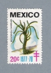 Stamps : America : Mexico :  Browiningia Candelaris