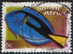 Stamps South Africa -  Palette surgeons  fish