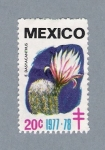 Stamps : America : Mexico :  E. Dasyacanthus