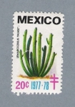 Stamps Mexico -  Lemairocereus Thurbet