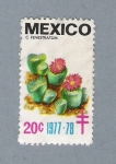 Stamps Mexico -  C. Fenestratum
