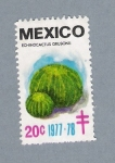 Stamps Mexico -  Echindcactus Grusoni