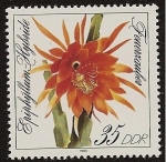 Stamps Germany -  Flores - Feuezauber  Epiphyllum Hybride