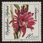 Stamps Germany -  Flores - Adriana  Epiphyllum Hybride