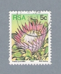 Stamps : Africa : South_Africa :  Plantas