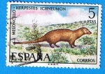 Stamps : Europe : Spain :  Meloncillo