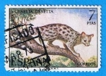 Stamps Spain -  Gineta