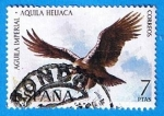 Stamps : Europe : Spain :  Aguila Imperial