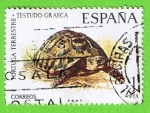 Stamps Spain -  Fauna Hipanica (Tortuga terrestre)