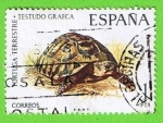 Sellos de Europa - Espaa -  Fauna Hipanica (Tortuga terrestre)