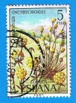 Stamps Spain -  Anthyllis onobrychioides
