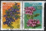Stamps South Africa -  Karoo violet  -  Tree Pelargonium