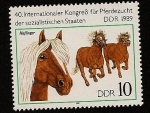 Stamps Germany -  40 Congreso Internacional cria de caballos de Estados Socialistas