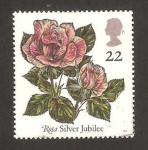 Sellos de Europa - Reino Unido -  1551 - Rosa Silver Jubilee