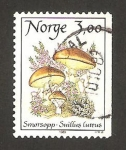 Sellos de Europa - Noruega -  champiñon, suillus luteus