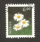 Stamps Norway -  flor, margarita