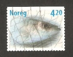 Sellos de Europa - Noruega -  pez, arenque
