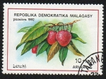 Stamps Madagascar -  Letchi