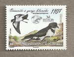 Stamps Oceania - New Caledonia -  Aves
