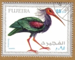Stamps United Arab Emirates -  FUJEIRA, Aves
