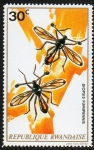 Stamps Rwanda -  Insectos