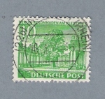 Stamps Germany -  Árbol centenario