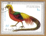 Stamps Asia - United Arab Emirates -  FUJEIRA, Aves
