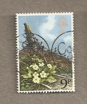 Stamps United Kingdom -  Flores espontáneas británicas