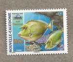 Stamps Oceania - New Caledonia -  Pez Dawa