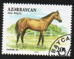 Sellos de Asia - Azerbaiy�n -  Razas de caballo-Akhalteka