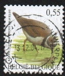 Stamps Belgium -  Chorlitejo