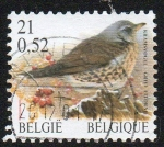 Stamps Belgium -  Zorzal