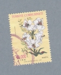 Stamps Turkey -  Türkiye Cumhuriyeti