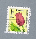 Stamps United States -  Flower