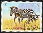Stamps United Arab Emirates -  UMM AL QIWAIN - Cebras