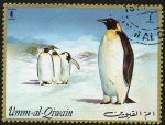 Stamps United Arab Emirates -  UMM AL QIWAIN - Pingüinos