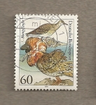 Stamps Germany -  Pajaros marinos, Philomachus pugnax