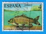 Sellos de Europa - Espaa -  Carpa