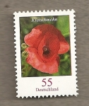 Stamps Germany -  Amapola