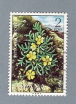 Stamps Spain -  Hypericum Ericoidi (repetido)