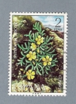 Sellos de Europa - Espaa -  Hypericum Ericoidi (repetido)