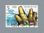 Sellos de Europa - Espaa -  Esponja de mar (repetido)