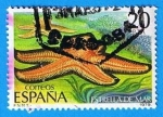 Stamps Spain -  Estrella de Mar