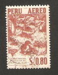 Stamps Peru -  guanay, principal productor del guano de islas